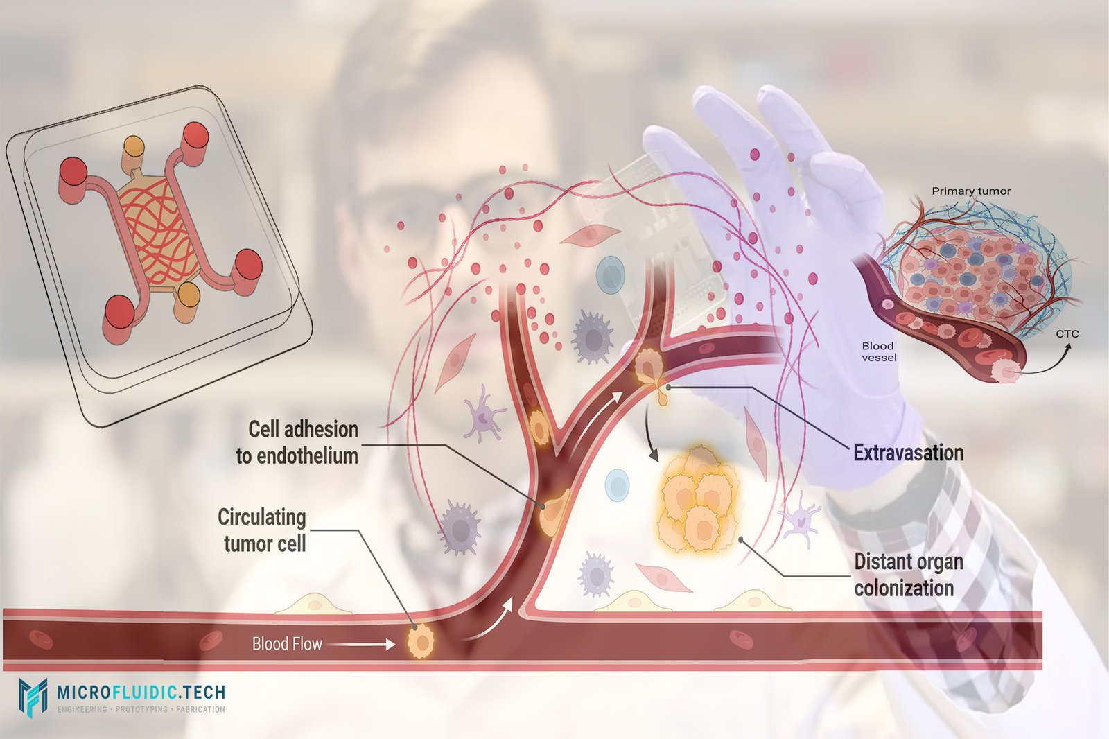 Innovative Microfluidic Technologies for Circulating Tumor Cell (CTC) Isolation and Cancer Detection