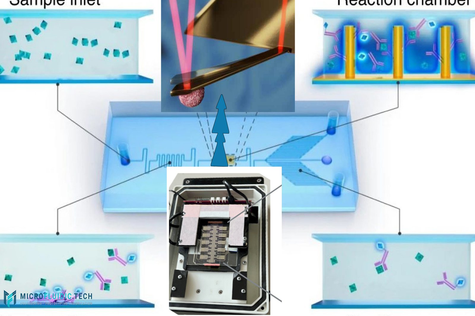 A Compartment-Free Revolution: Digital Microfluidic Immunoassays for Picogram-Level Protein Detection