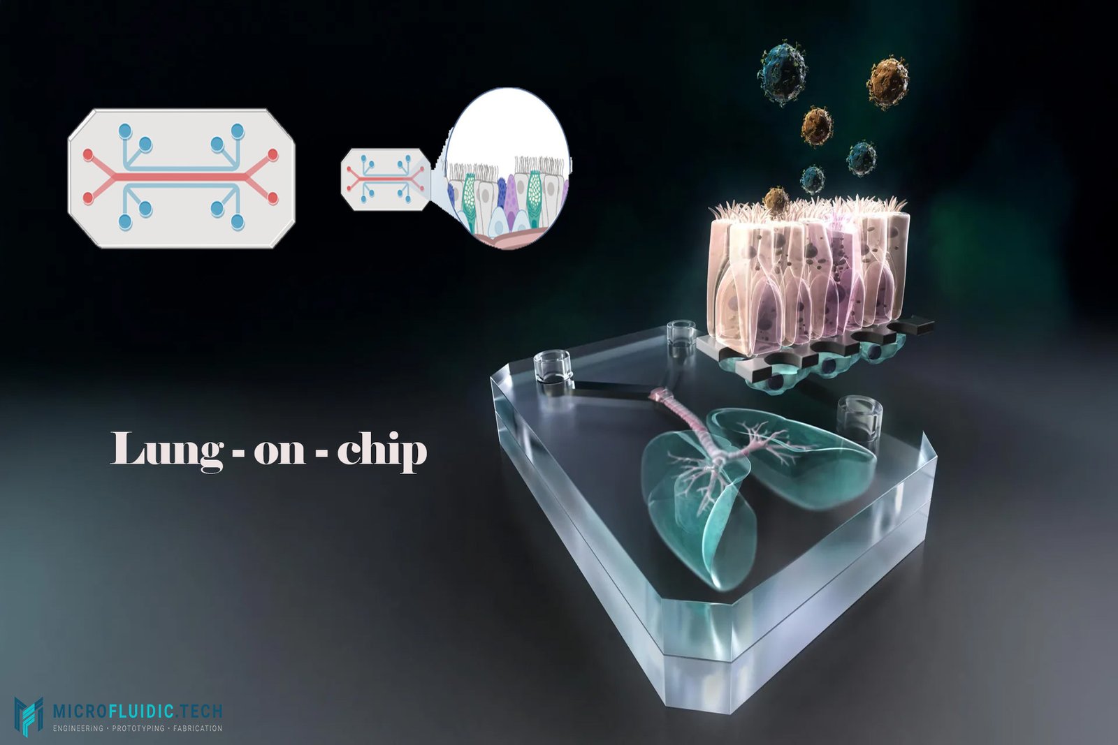 Dynamic Breathing Lung-on-Chip: How Microfluidic Innovation is Revolutionizing Inhaled Drug Evaluation