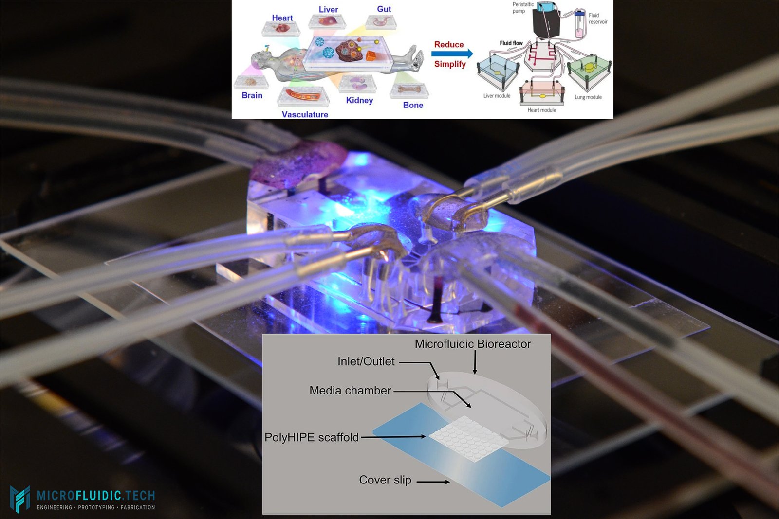 Advanced Bonding Techniques for Thermoplastic Microfluidic Devices: Toward Scalable Organ-on-Chip Systems