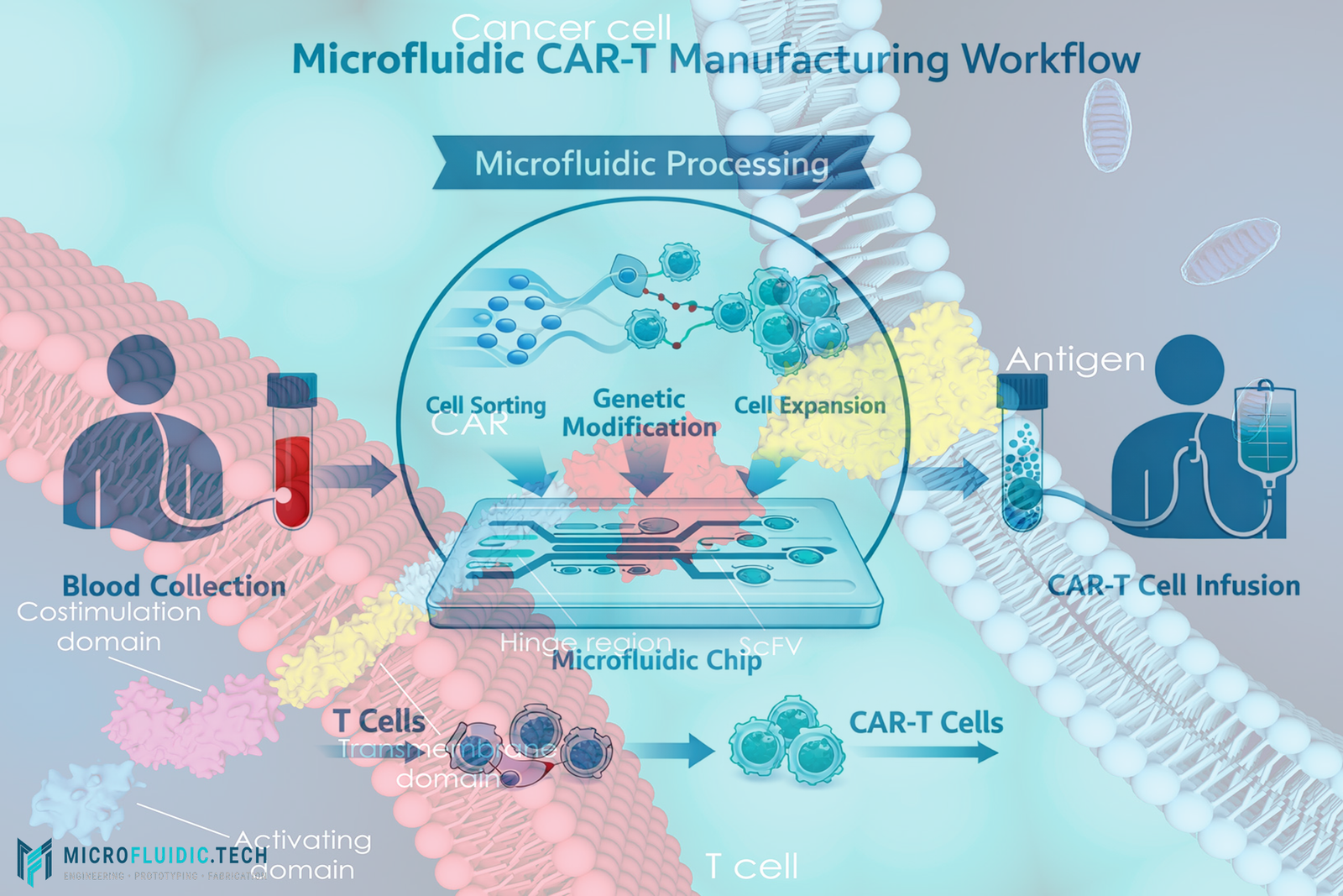 How Microfluidics Is Transforming CAR-T Cell Therapy Manufacturing